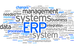 erp-consultancy